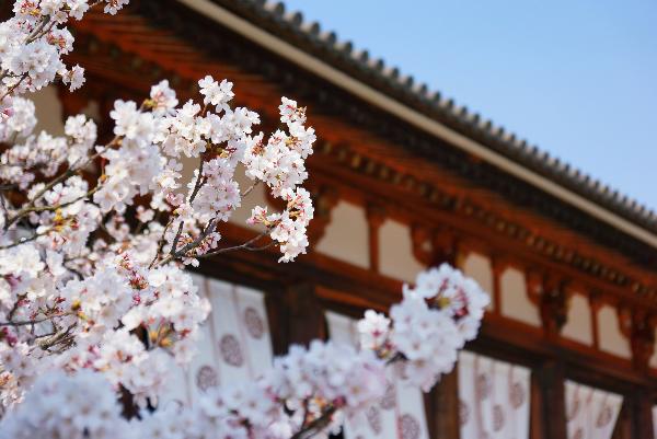 【真食在】日本雙古都餐餐全含海陸空6日遊(週二東京成田機場進 大阪關西機場出)或(週三東京成田機場進 名古屋中部機場出)